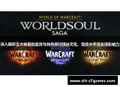 深入解析五大联赛的差异与特色探讨球迷文化、竞技水平与全球影响力