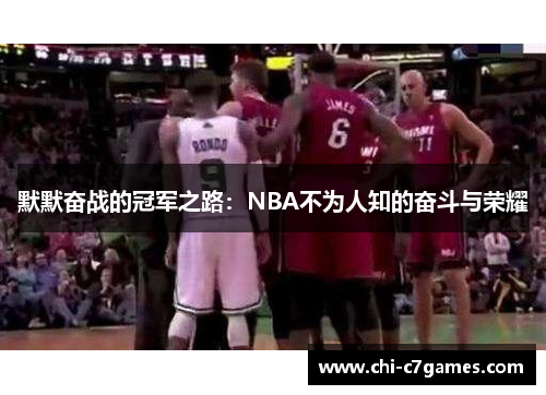 默默奋战的冠军之路：NBA不为人知的奋斗与荣耀